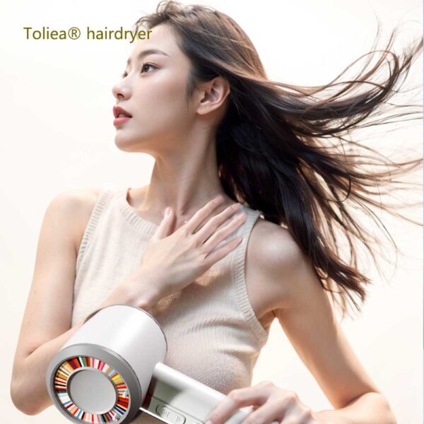 Toliea® Silent Thermostatic High Speed Hair Dryer TL-100