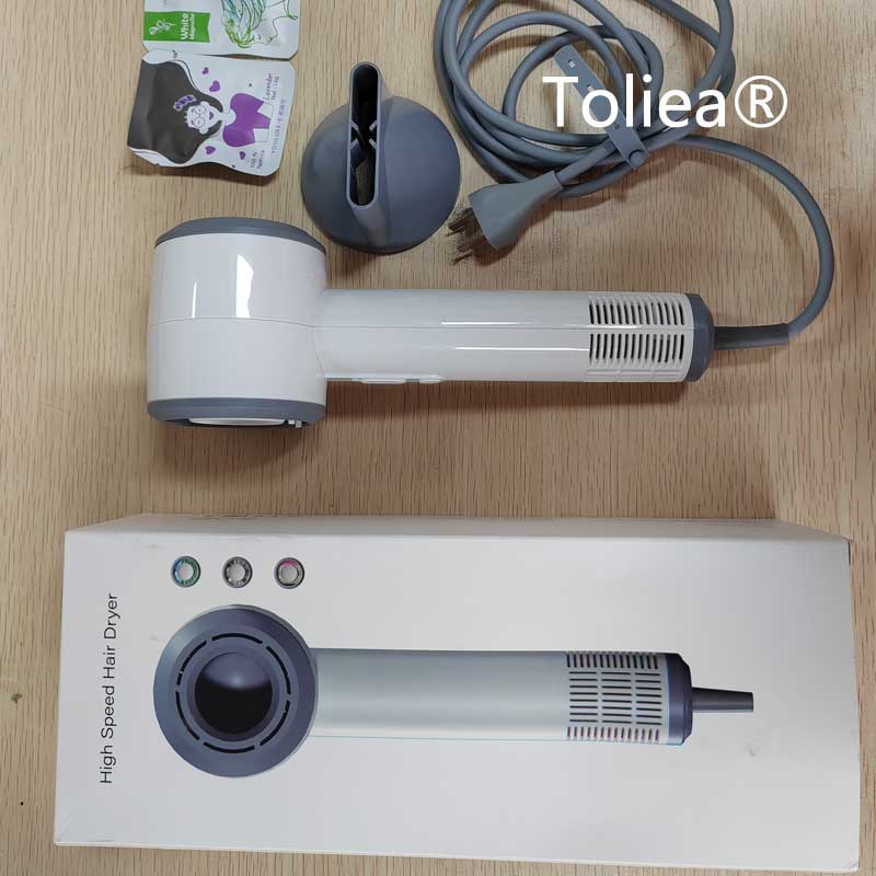 toliea-silent-thermostatic-high-speed-hair-dryer-tl-100/