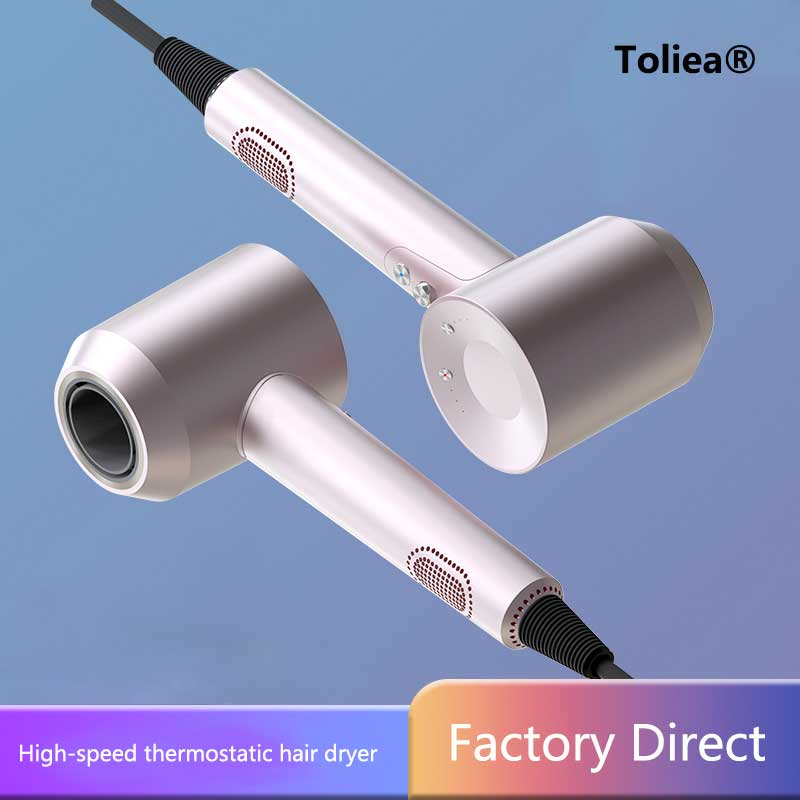 Toliea® TL-101 Intelligent Home Speed Hair Dryer